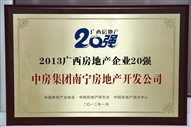 2013Vخa(chn)I(y)20(qing)